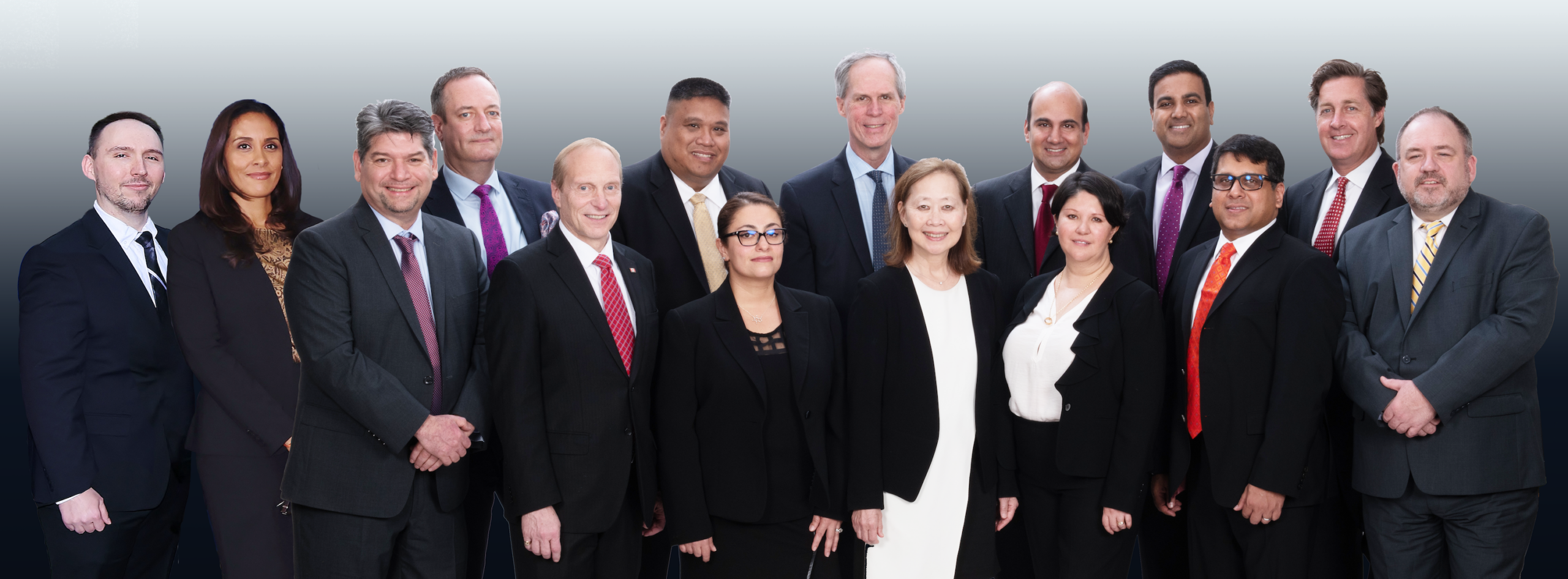 Wong Fleming Partners